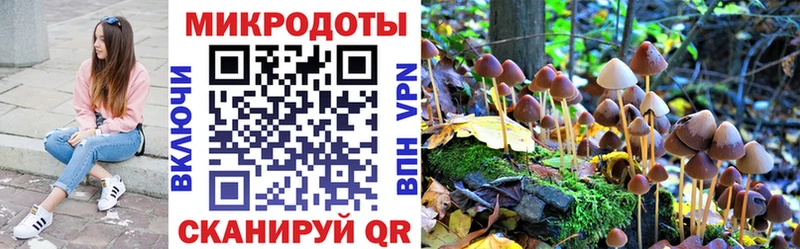 МЕГА как зайти  Полярные Зори  Псилоцибиновые грибы Psilocybe  цены наркотик 
